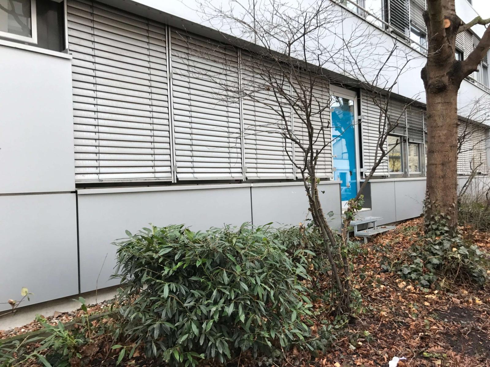 Brisoley dış jaluzi perde